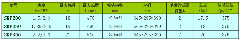 北美款SKP系列泳池泵的型號參數(shù)表